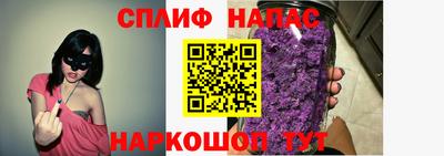 СК Тара