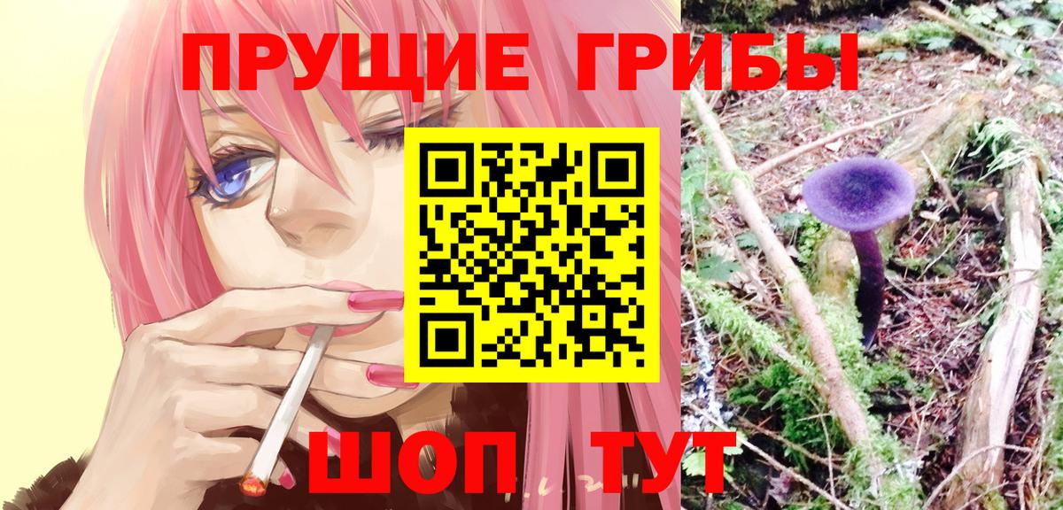 Псилоцибиновые грибы мицелий  Вход с VPN  Тара 