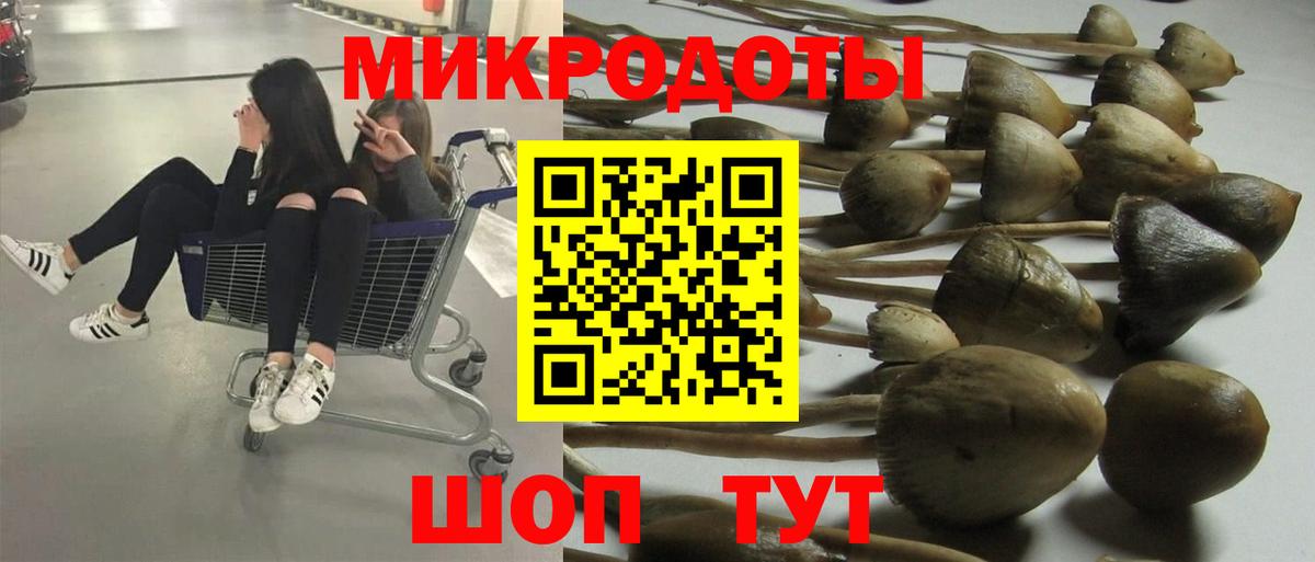 Псилоцибиновые грибы мухоморы Тара